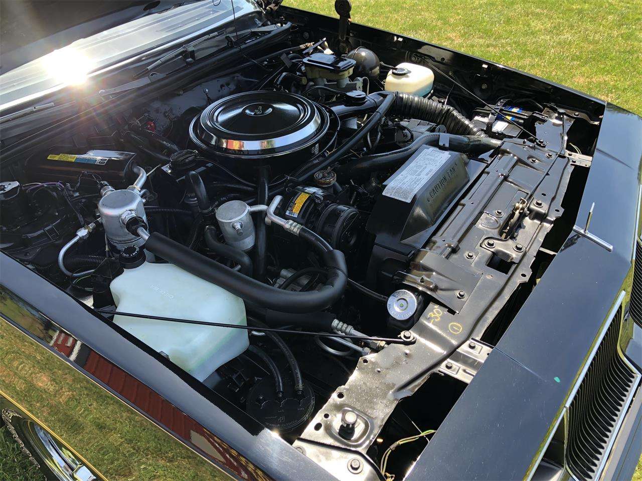 86 Olds 442 Engine with early version compressor and air cleaner.jpg