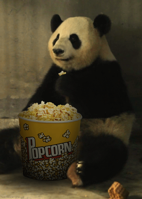 ani-mm_popcorn_panda.gif