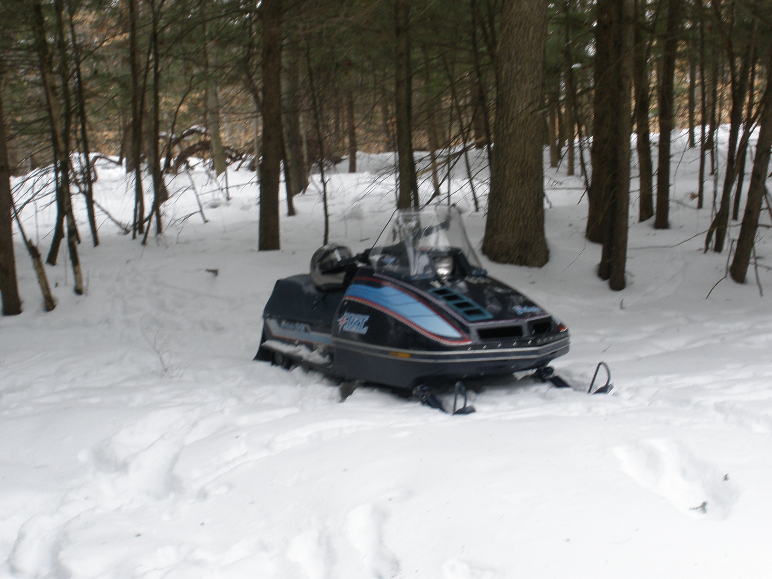 clues and sleds 008.jpg