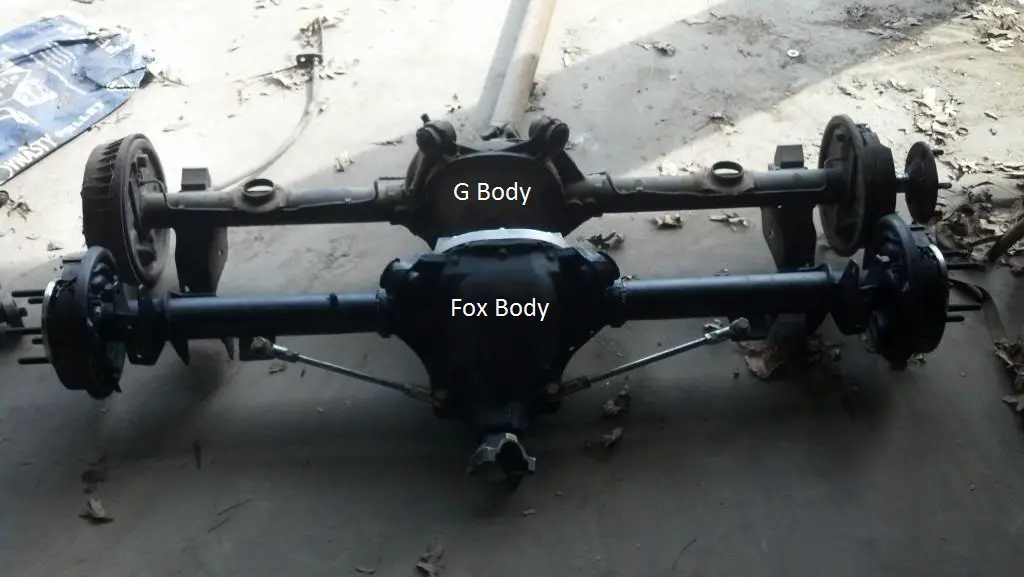 G Body vs Fox Body.jpg