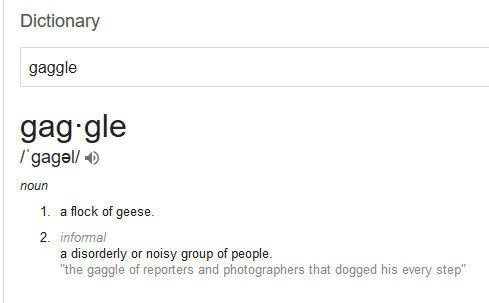 gaggle.PNG