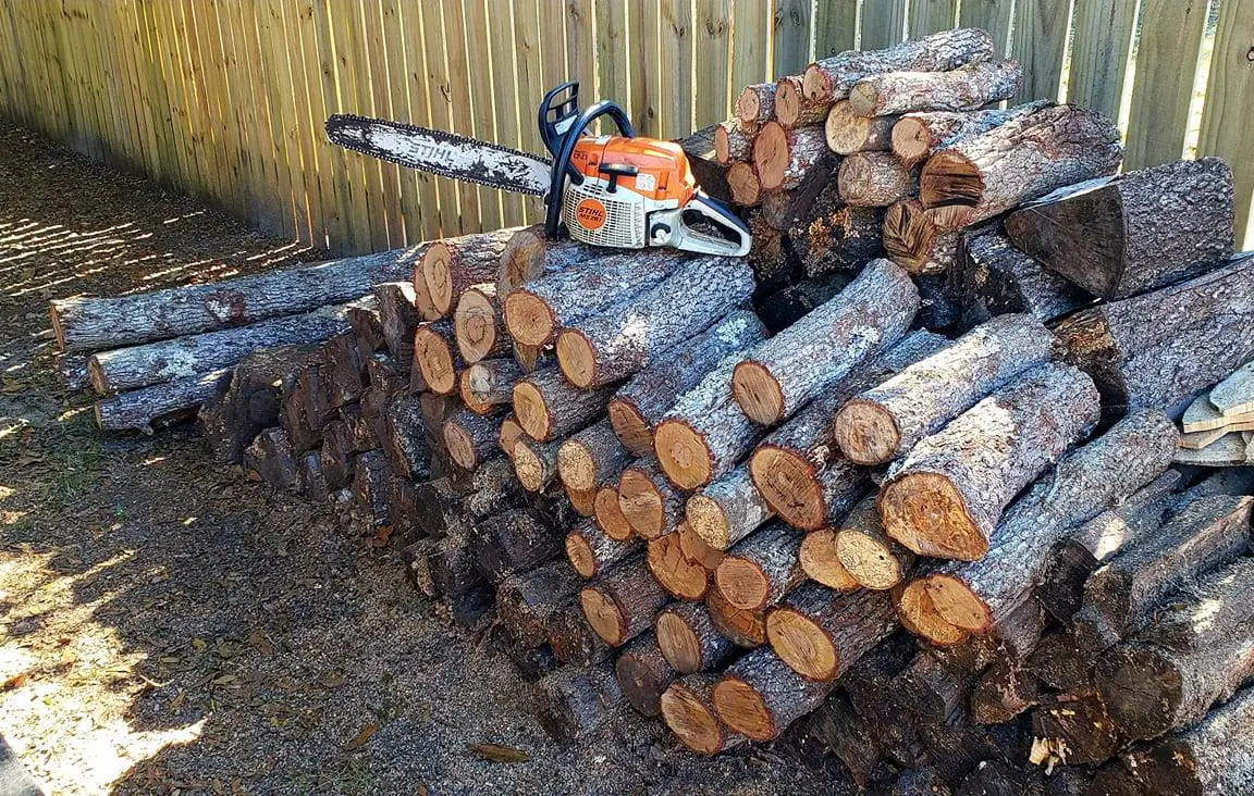 LOGS.jpg