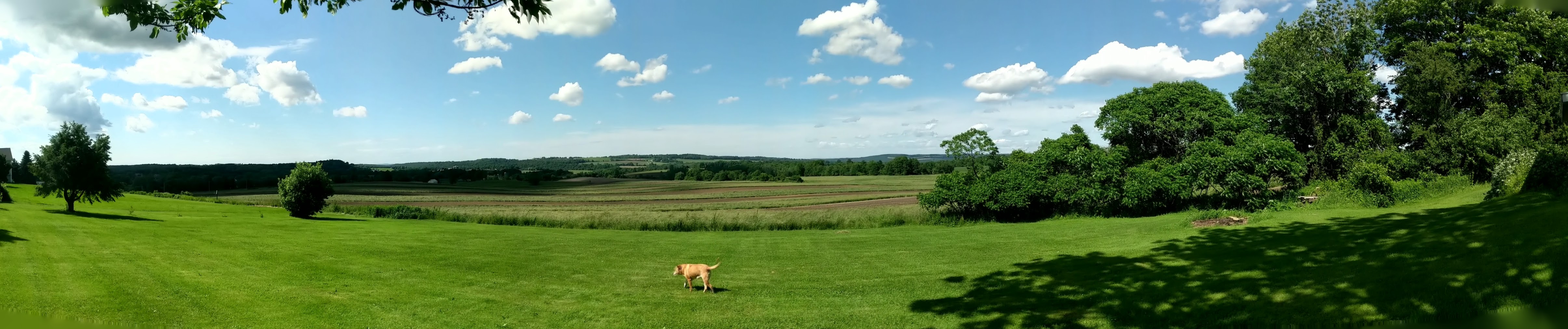 PANO_20190621_161255.vr.jpg