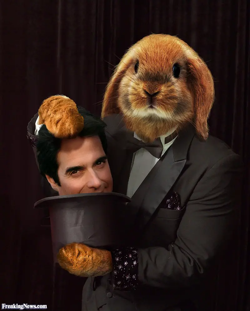 Rabbit-Pulling-David-Copperfield-Out-of-a-Hat--112193.jpg