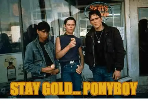 stay-gold-ponyboy-5441494.png