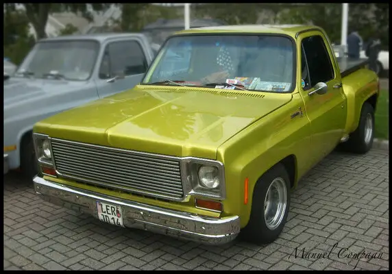 1975_Chevrolet_Stepside_Pickup_by_compaan_art.jpg