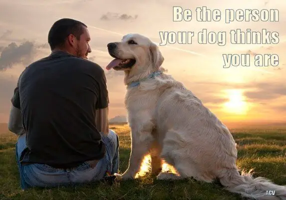 Be The Person Your Dog Thinks You Are.jpg