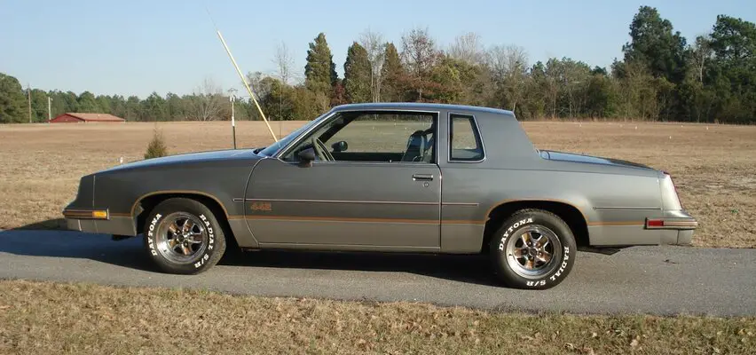 Gray 85 442.JPG