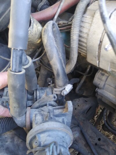 20200309_172346[1].jpg