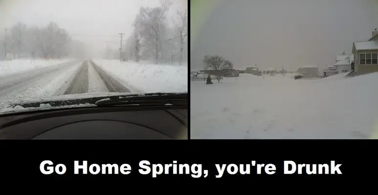 spring.png