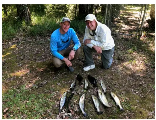 Trout and Flounder.PNG