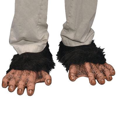 chimp-feet_13577793.jpeg