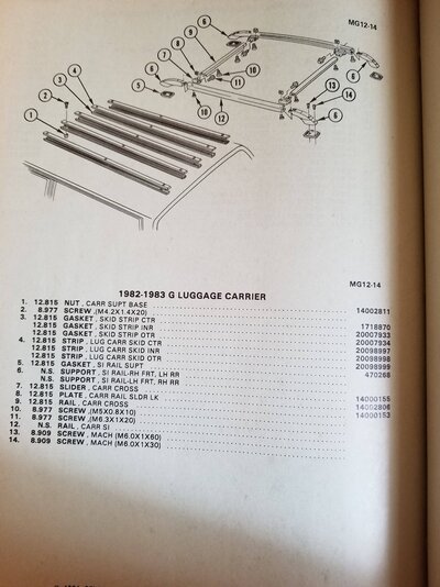 Cutlass Roof Rack.jpg