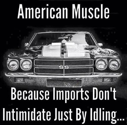 american muscle.jpg