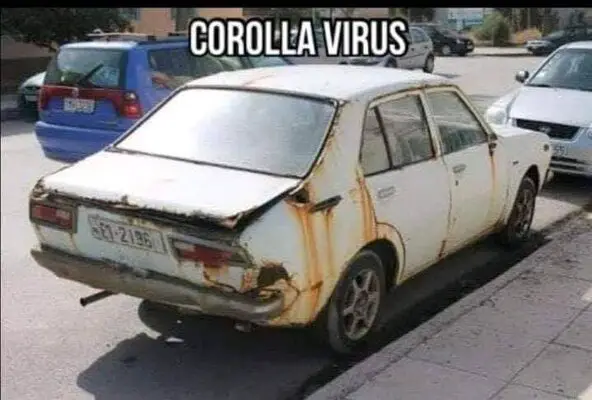 corolla virus.jpg