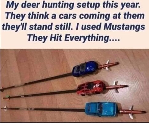 Mustang Kills.jpg