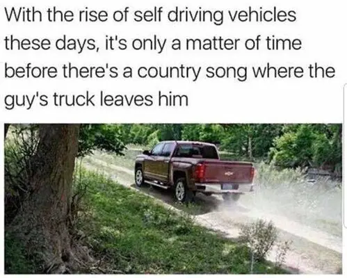 self drive left in woods.jpg