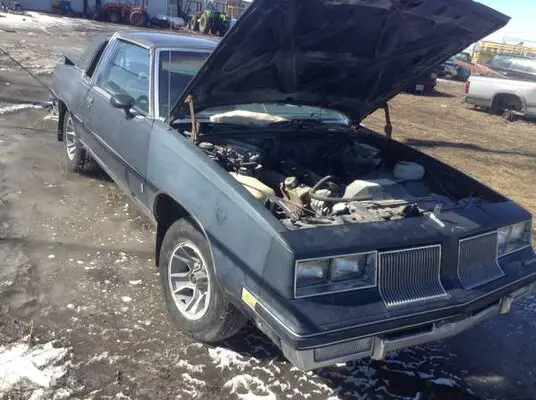 85 cutlass.jpg