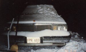 Hawaii Plate in Snow.jpg