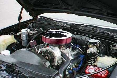 IMG18.jpg