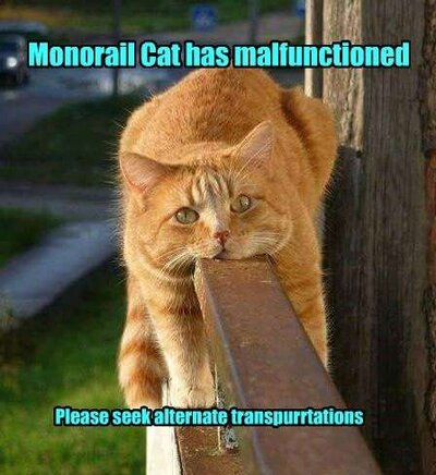 monorail cat malfuntion.jpg