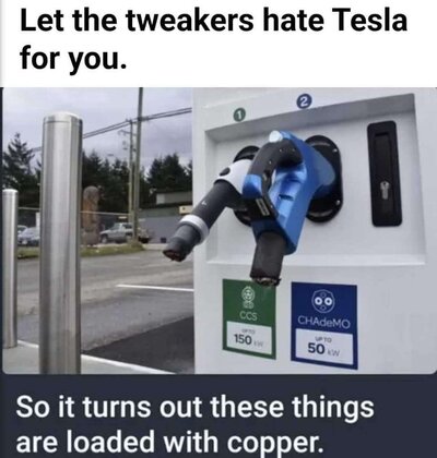 teslachargertheft.jpg