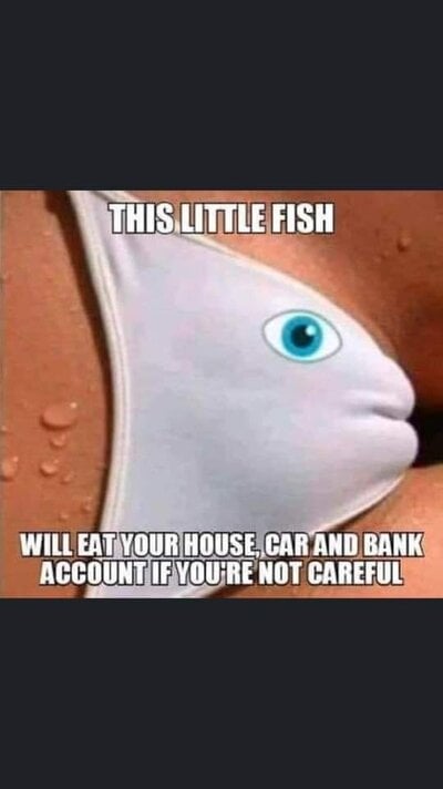 little fish.jpg