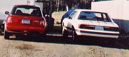 1983 Mustang A.jpg
