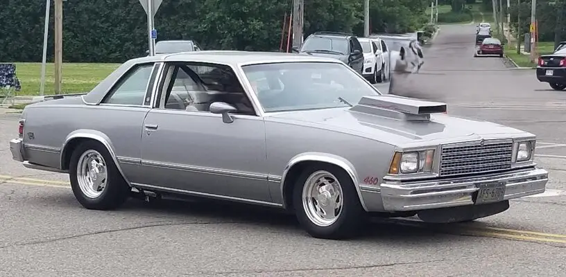 79 Malibu Landau 2.jpg