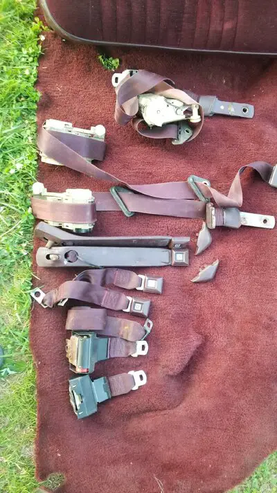 claret seatbelts.jpg