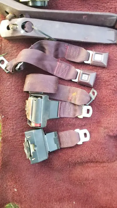 claret seatbelts1.jpg