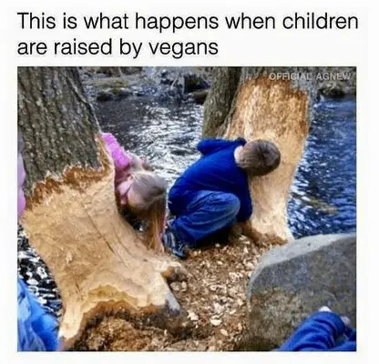 vegan children.jpg