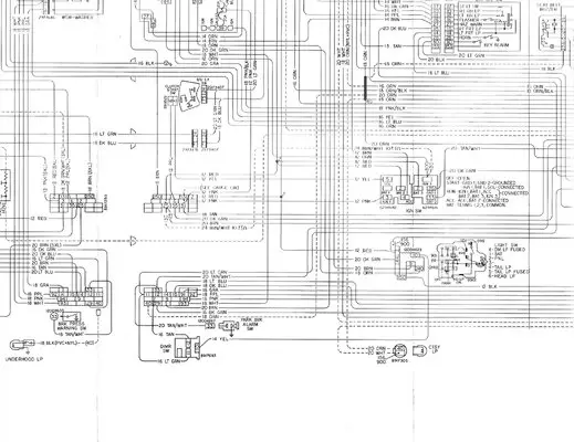 Document_2025-01-25_231552.jpg