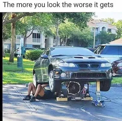 dumb.jpg
