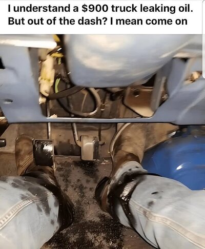IMG_7838.jpeg