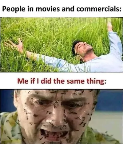 ants.jpg