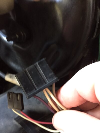 wires from fuse block.JPG