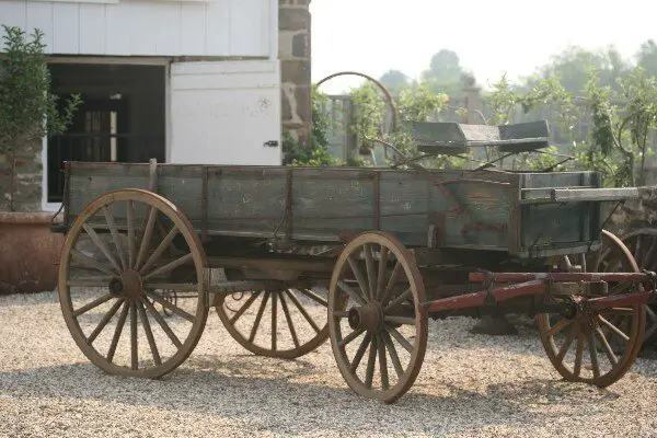 Carousel%20Lavender_Wagon.jpg