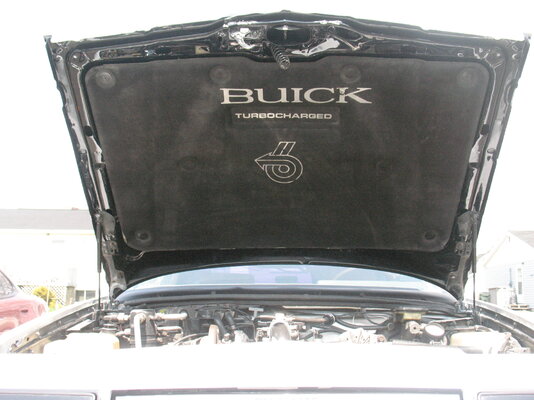 buggy & buick 013.JPG