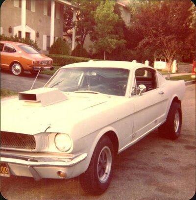 65 Fastback.jpg