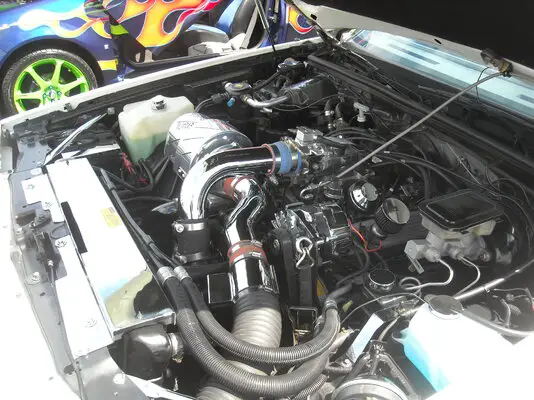 DSCN3254.JPG