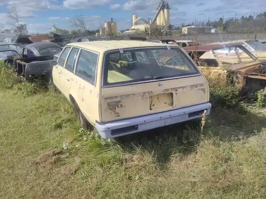 1980 Malibu Wagon 2.jpg