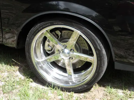 Picture 313.jpg