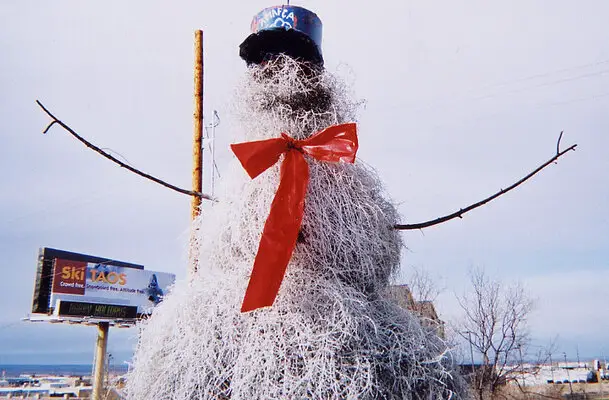 Tumbleweed Snowman.jpg