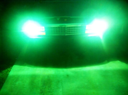 hid2.jpg