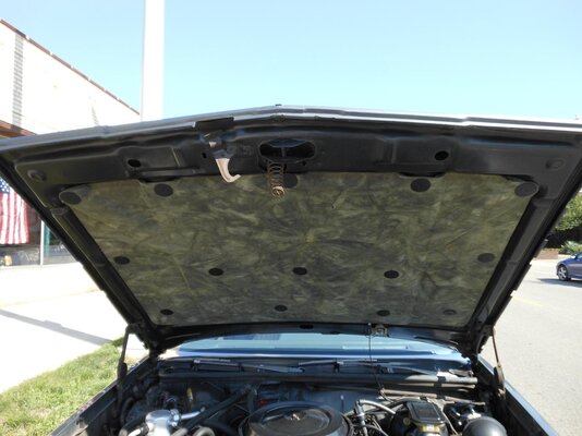 Under hood mat.jpg