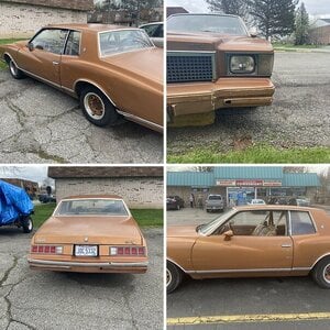 78 Monte Carlo “Goldie” Running project