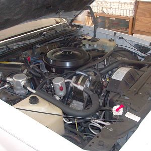 5.0L 307 V8