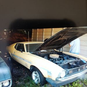 our mach 1 before we bought it