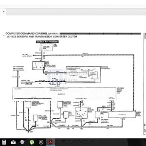 Ecm1